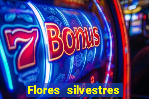 Flores silvestres brasileiras 25